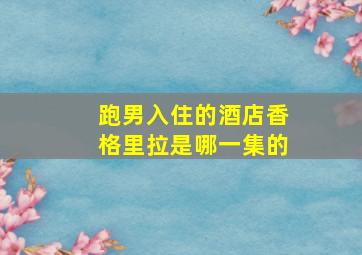 跑男入住的酒店香格里拉是哪一集的