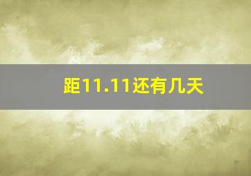 距11.11还有几天