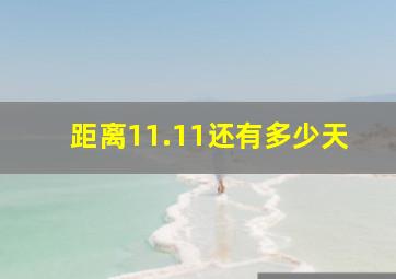 距离11.11还有多少天