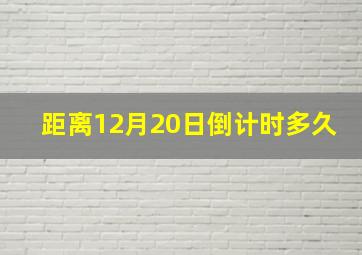 距离12月20日倒计时多久