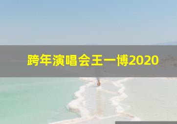 跨年演唱会王一博2020