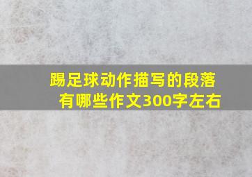 踢足球动作描写的段落有哪些作文300字左右