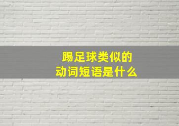 踢足球类似的动词短语是什么