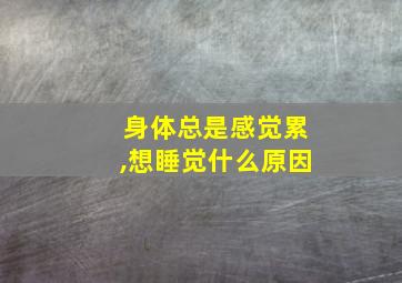 身体总是感觉累,想睡觉什么原因