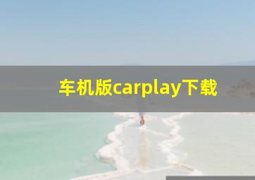 车机版carplay下载