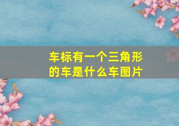 车标有一个三角形的车是什么车图片