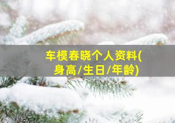 车模春晓个人资料(身高/生日/年龄)