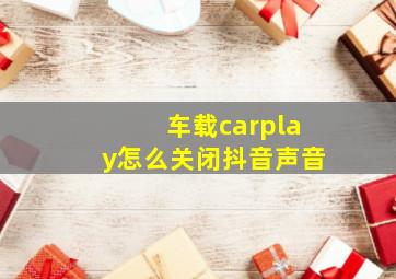 车载carplay怎么关闭抖音声音