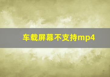 车载屏幕不支持mp4