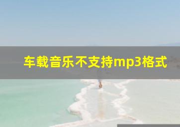 车载音乐不支持mp3格式