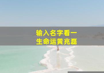 输入名字看一生命运黄兆磊