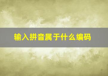 输入拼音属于什么编码