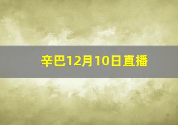 辛巴12月10日直播