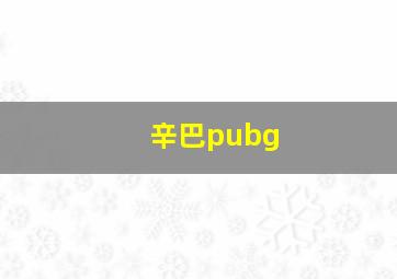 辛巴pubg