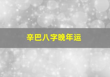 辛巴八字晚年运