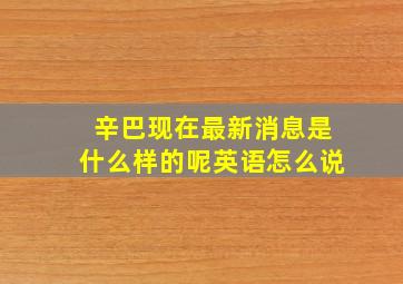 辛巴现在最新消息是什么样的呢英语怎么说