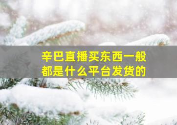 辛巴直播买东西一般都是什么平台发货的