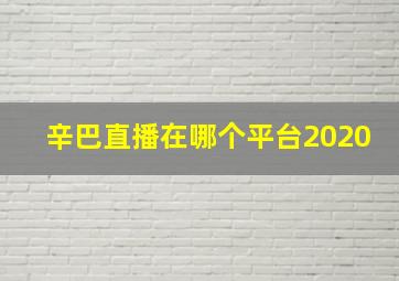 辛巴直播在哪个平台2020