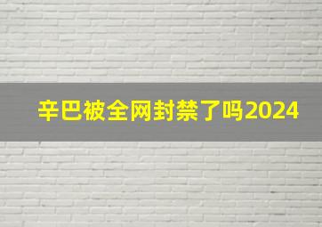 辛巴被全网封禁了吗2024