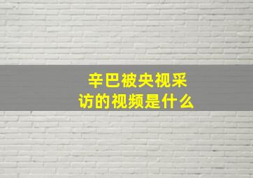 辛巴被央视采访的视频是什么