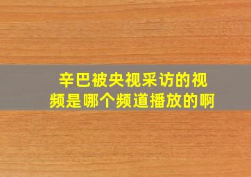 辛巴被央视采访的视频是哪个频道播放的啊