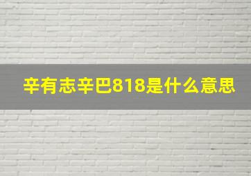 辛有志辛巴818是什么意思