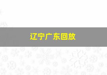 辽宁广东回放