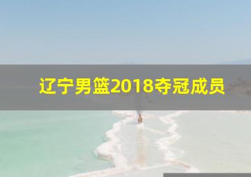 辽宁男篮2018夺冠成员