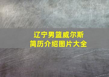 辽宁男篮威尔斯简历介绍图片大全