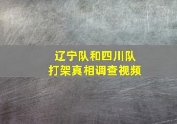 辽宁队和四川队打架真相调查视频