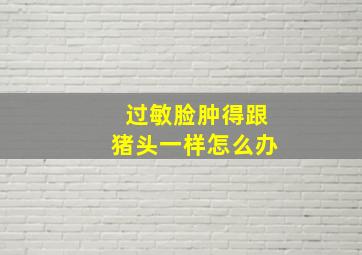 过敏脸肿得跟猪头一样怎么办