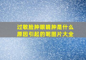 过敏脸肿眼睛肿是什么原因引起的呢图片大全