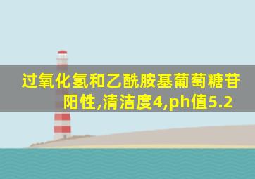 过氧化氢和乙酰胺基葡萄糖苷阳性,清洁度4,ph值5.2