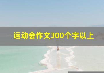 运动会作文300个字以上