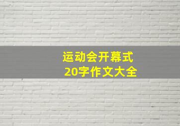 运动会开幕式20字作文大全