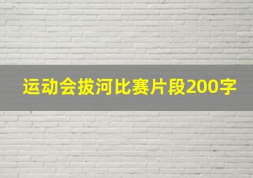 运动会拔河比赛片段200字