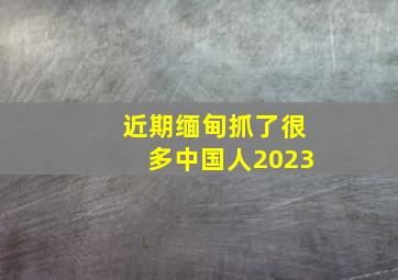 近期缅甸抓了很多中国人2023