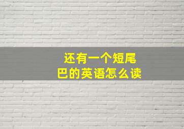 还有一个短尾巴的英语怎么读