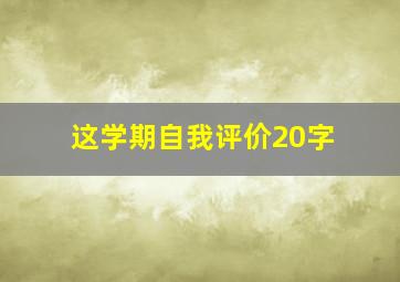 这学期自我评价20字