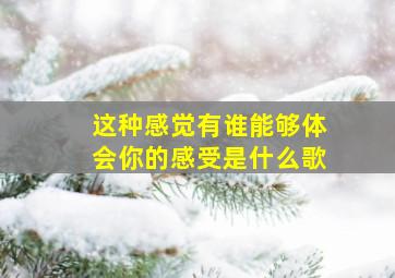 这种感觉有谁能够体会你的感受是什么歌