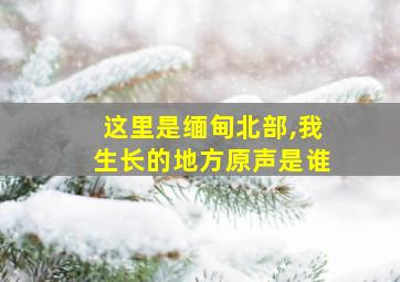 这里是缅甸北部,我生长的地方原声是谁