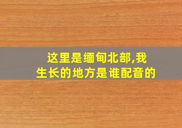 这里是缅甸北部,我生长的地方是谁配音的