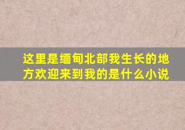 这里是缅甸北部我生长的地方欢迎来到我的是什么小说