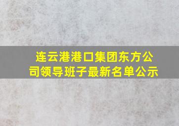 连云港港口集团东方公司领导班子最新名单公示