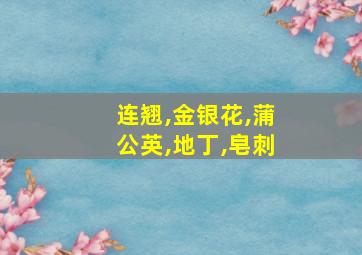 连翘,金银花,蒲公英,地丁,皂刺