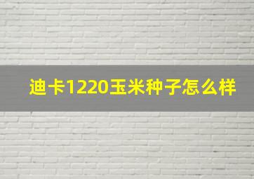 迪卡1220玉米种子怎么样