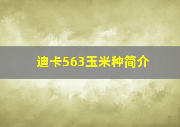 迪卡563玉米种简介