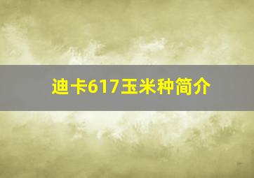 迪卡617玉米种简介