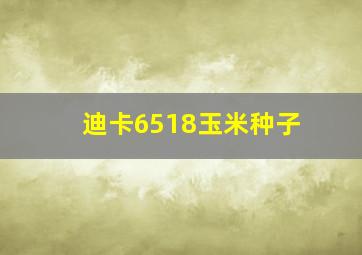 迪卡6518玉米种子