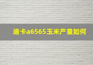 迪卡a6565玉米产量如何